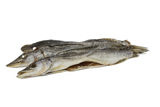 Trockenfisch 