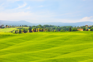 Beautiful summer rural landscape, Tuscany, Italy