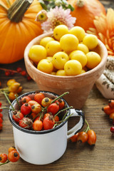 Pot of yellow plums and pot of rose hip, flowers and pumpkins