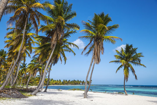 Canto de la Playa, Saona Island, Parque Nacional del Este, Punta Cana, Dominican Republic