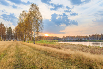 golden fall dawn, before sunrise in the field, russian nature, birches