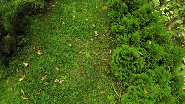 Flower Garden in city park