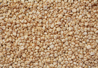 Seed corn