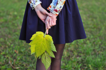 Fototapeta na wymiar Autumn leaves in hands of woman