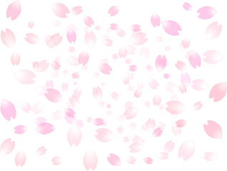 背景素材　桜