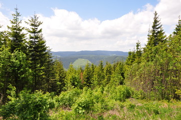 Landschaft Thüringer Wald