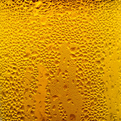 Condensation Droplets on a Glass of Cold Beer