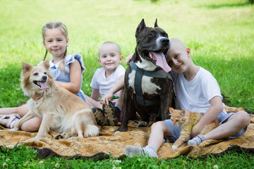Sister and brother playing with a dogs and a cat