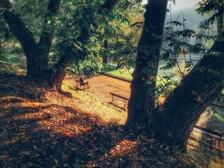 relax autunnale sul lungo fiume