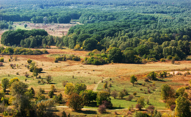 Fototapeta na wymiar Autumn landscape from top view