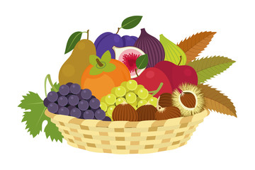 Basket of autumn fruit on white background