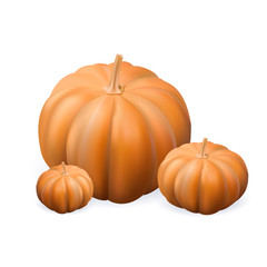 Isolated realistic pumpkin