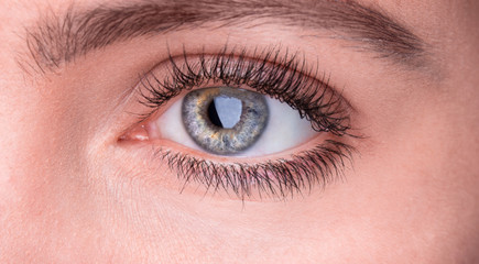 Fototapeta na wymiar Macro image of human eye