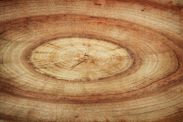 Obraz premium Wood texture