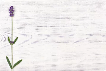 Photo sur Aluminium Lavande fleur de lavande sur fond de table en bois blanc