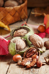 Fresh walnuts in a green shell, autumn harvest, amid the fallen