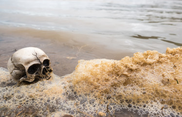 skull head
