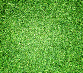 Golf Courses green lawn