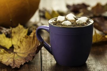 cup of hot chocolate with cinnamon and marshmallows on wooden background. Autumn, pumpkin, maple leaves.