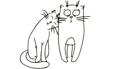 кошка ластится, кот в шоке