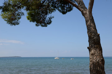 K&uuml;ste bei Fazana, Istrien, Kroatien