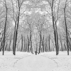 footpath in a fabulous winter city park