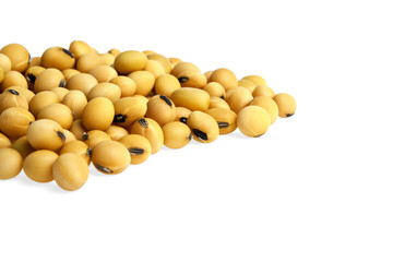 Soybean isolated on white background