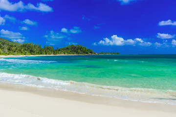 Fototapeta na wymiar Paradise beach on tropical island