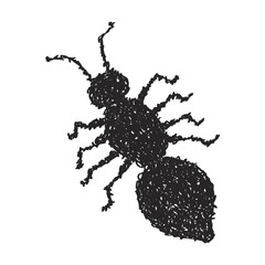 Simple doodle of an ant