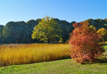 Beautiful autumn landscape - Autumn scenery 
