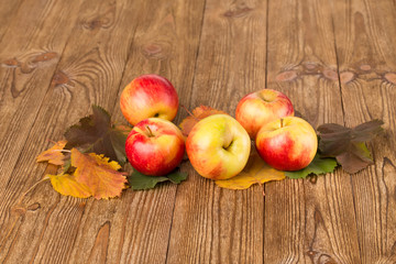Autumn leaves and apples