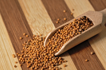 Mustard seed on a wooden, two colored board.