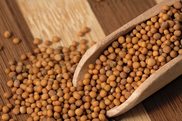 Mustard seed on a wooden, two colored board.