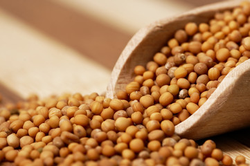 Mustard seed on a wooden, two colored board.