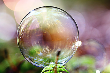 unusual bubble background nature
