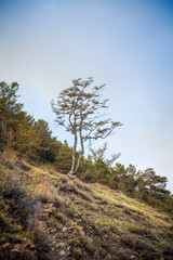 Obraz premium rocky coast of Lake Baikal.