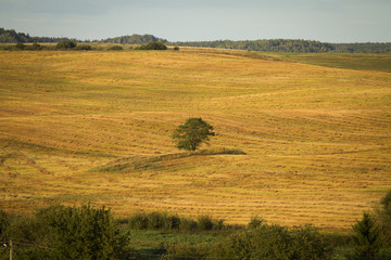 Obraz premium autumn hills