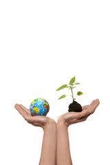 Sustainable Development