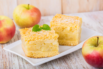 Homemade apple pie on white plate