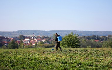 Man with hand sprayer on the back