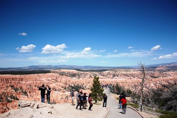 The Bryce Amphitheater area at Bryce Canyon National Park, Utah