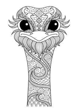 Hand drawn ostrich zentangle style for coloring page,t shirt design effect,logo tattoo and so on.