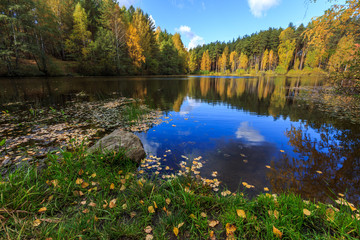 golden autumn, birches' reflection in the water, trees reflection in the river on sunrise, golden fall sunrise in forest