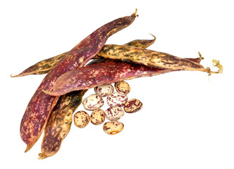 Borlotti Beans