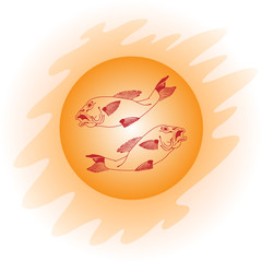 gold carp fish vector illustration