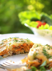 Baked fish with cheese sauce, carrots and onions, decorated with fennel on a white plate. Selective focus on a cut of fish.