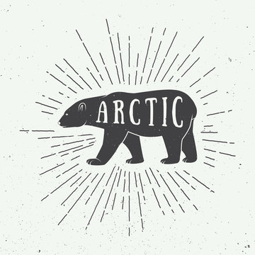 Vintage arctic white bear with slogan.