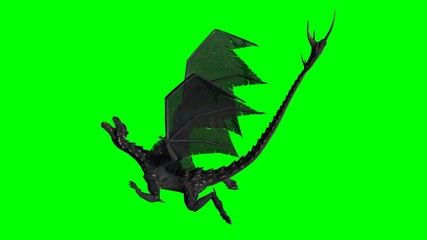 Dragon - green screen 