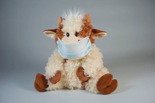 Toy bull in a medical mask with a thermometer on a gray backgrou