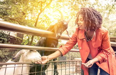 Young woman feeding animals at the zoo.